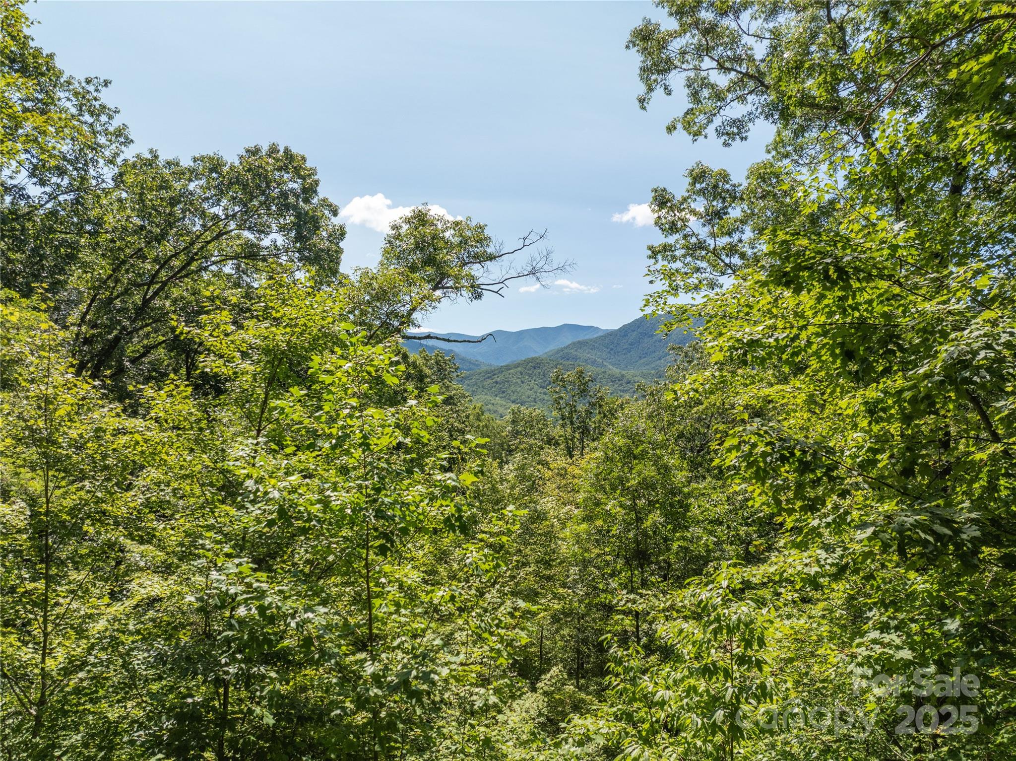 9999 Cindy Cove Trail Robbinsville NC 28771