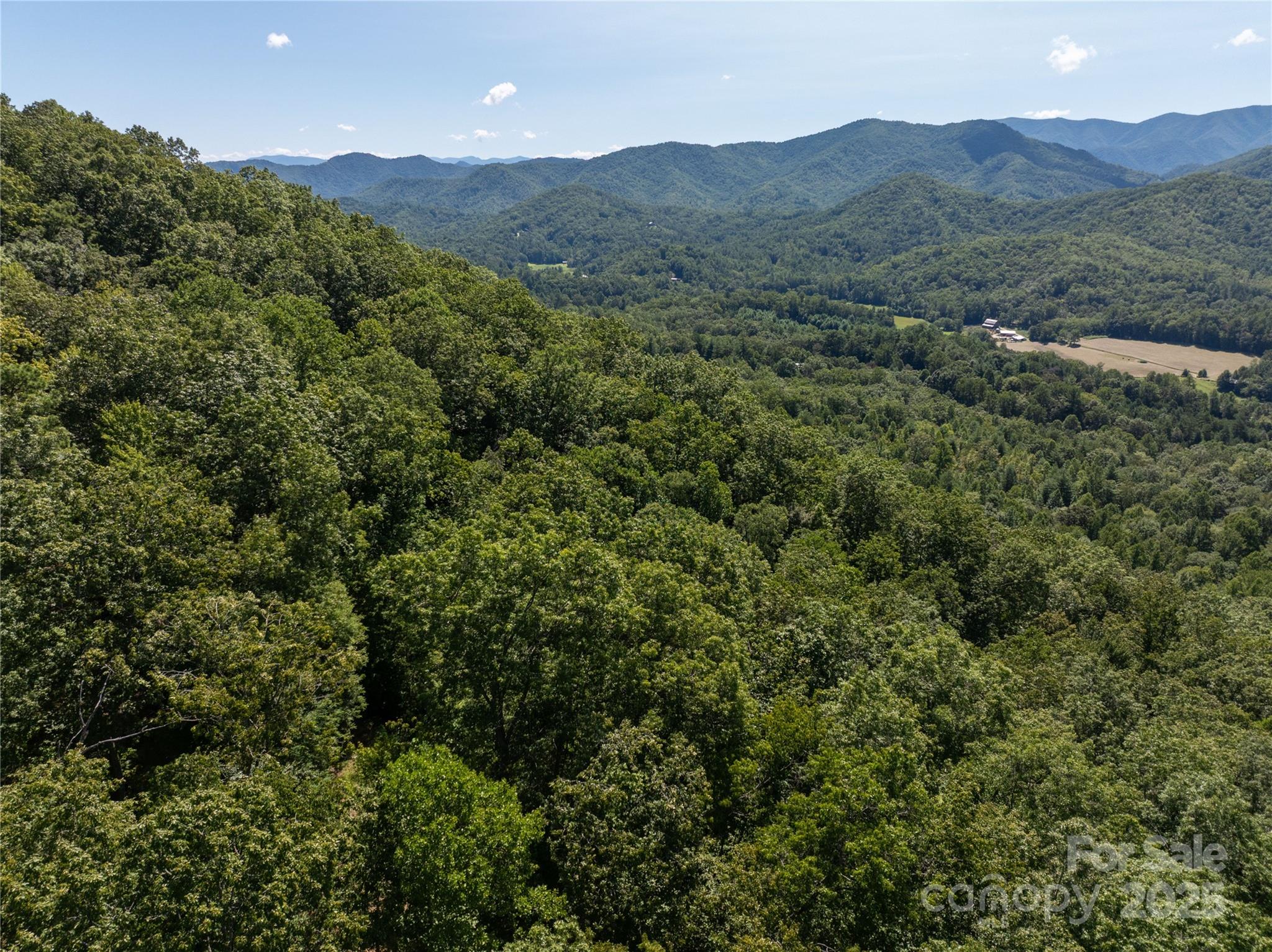 9999 Cindy Cove Trail Robbinsville NC 28771