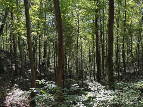 9999 Cindy Cove Trail Robbinsville NC 28771