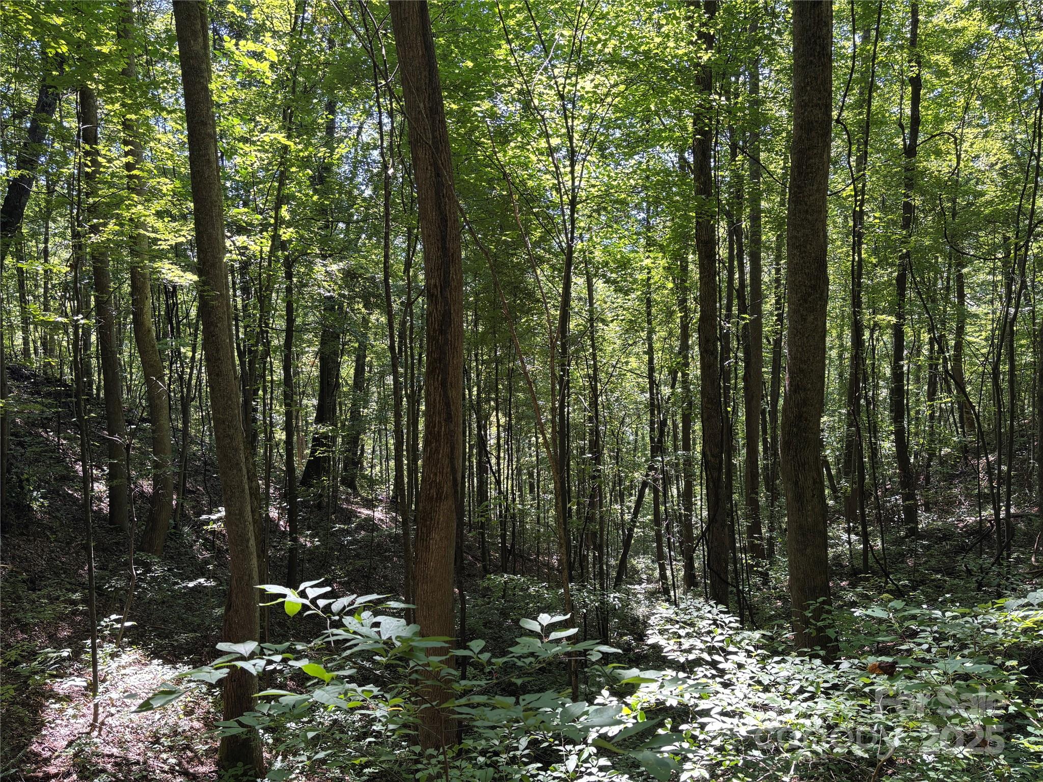 9999 Cindy Cove Trail Robbinsville NC 28771