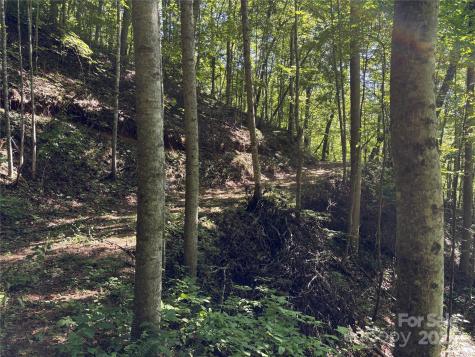 9999 Cindy Cove Trail Robbinsville NC 28771