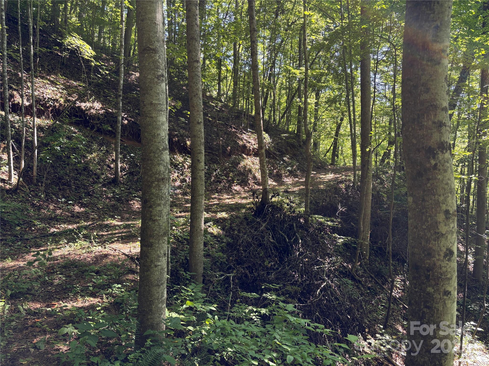 9999 Cindy Cove Trail Robbinsville NC 28771