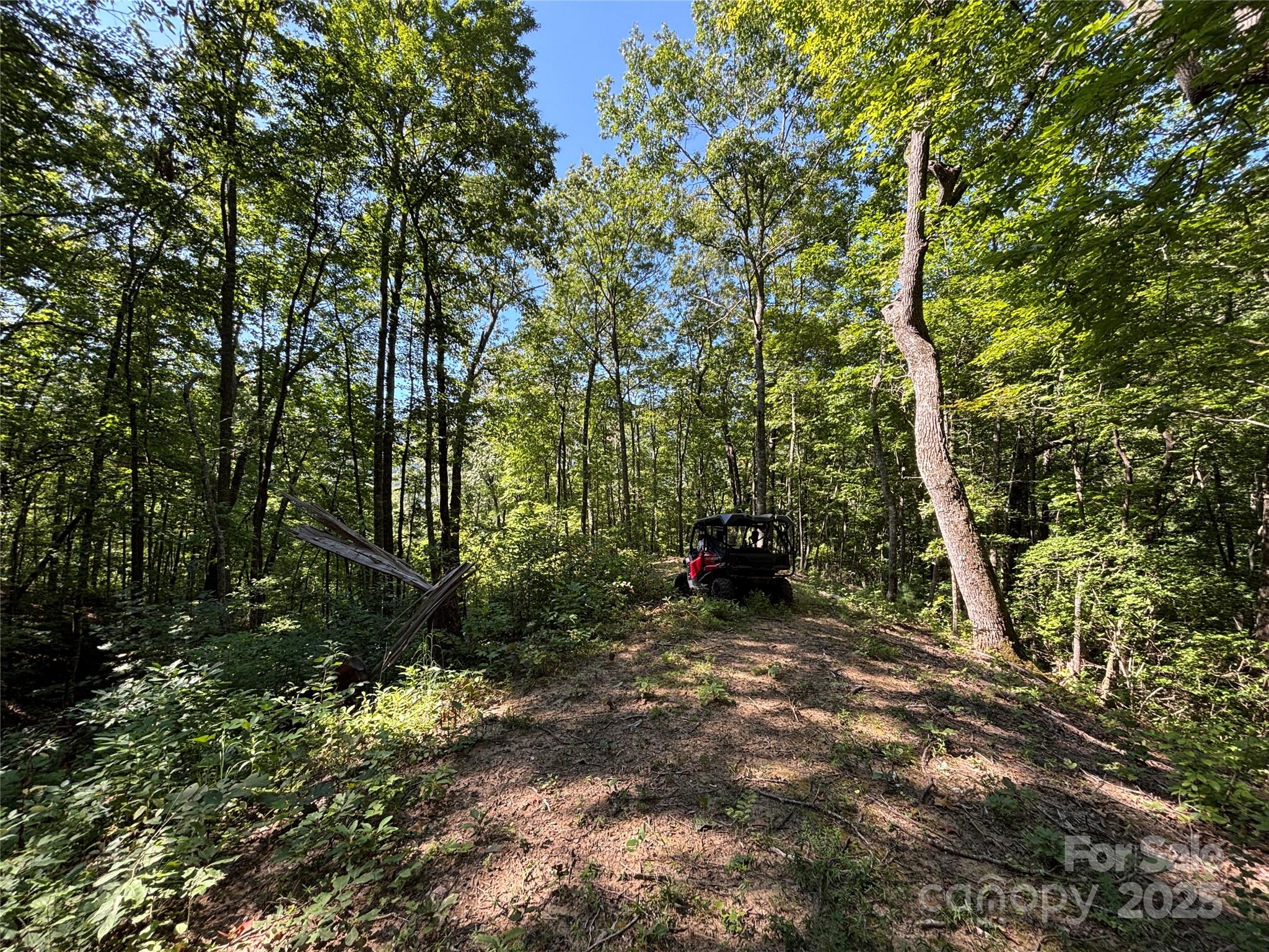 9999 Cindy Cove Trail Robbinsville NC 28771