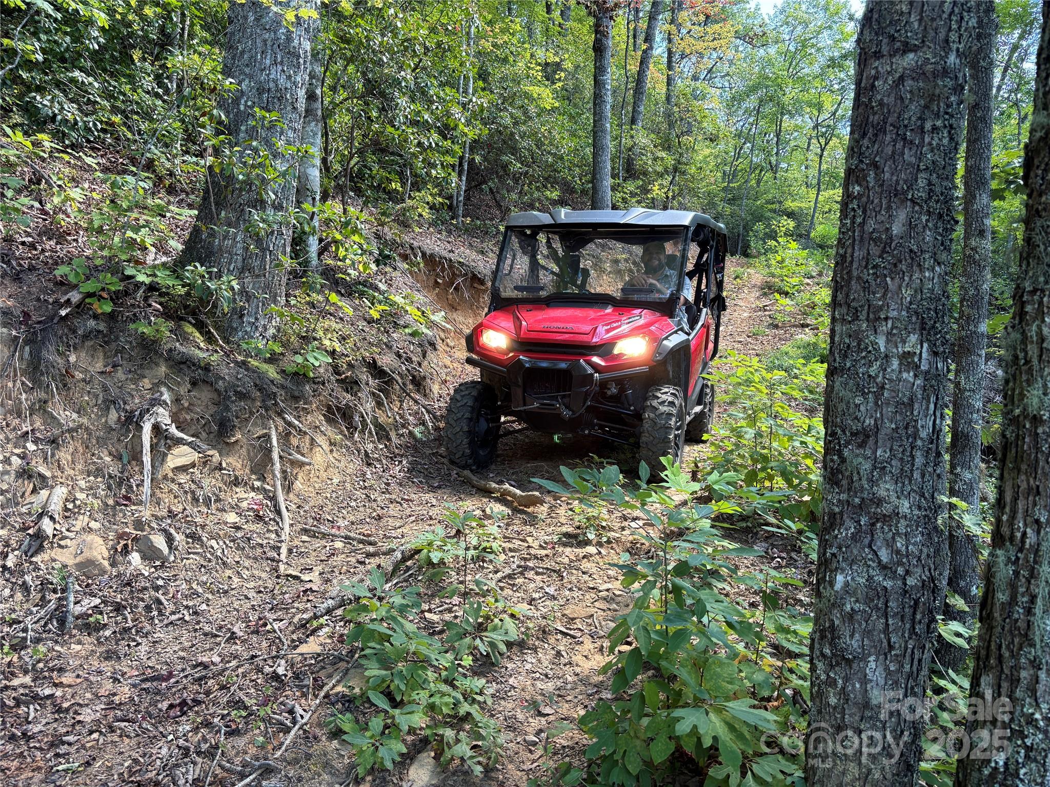 9999 Cindy Cove Trail Robbinsville NC 28771