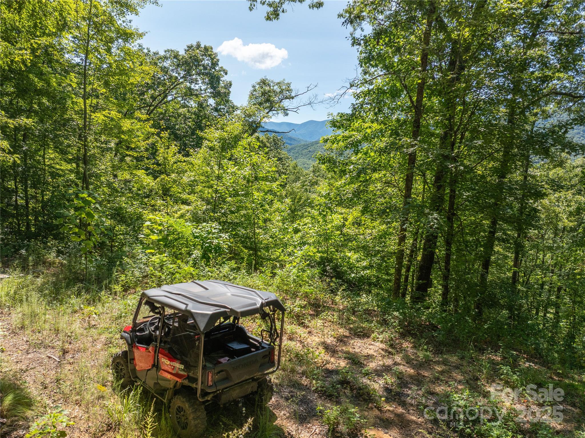 9999 Cindy Cove Trail Robbinsville NC 28771