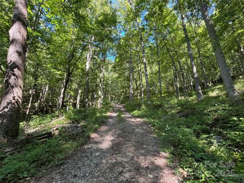 9999 Cindy Cove Trail Robbinsville NC 28771