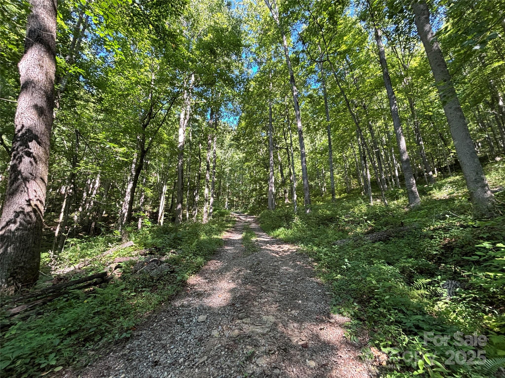 9999 Cindy Cove Trail Robbinsville NC 28771