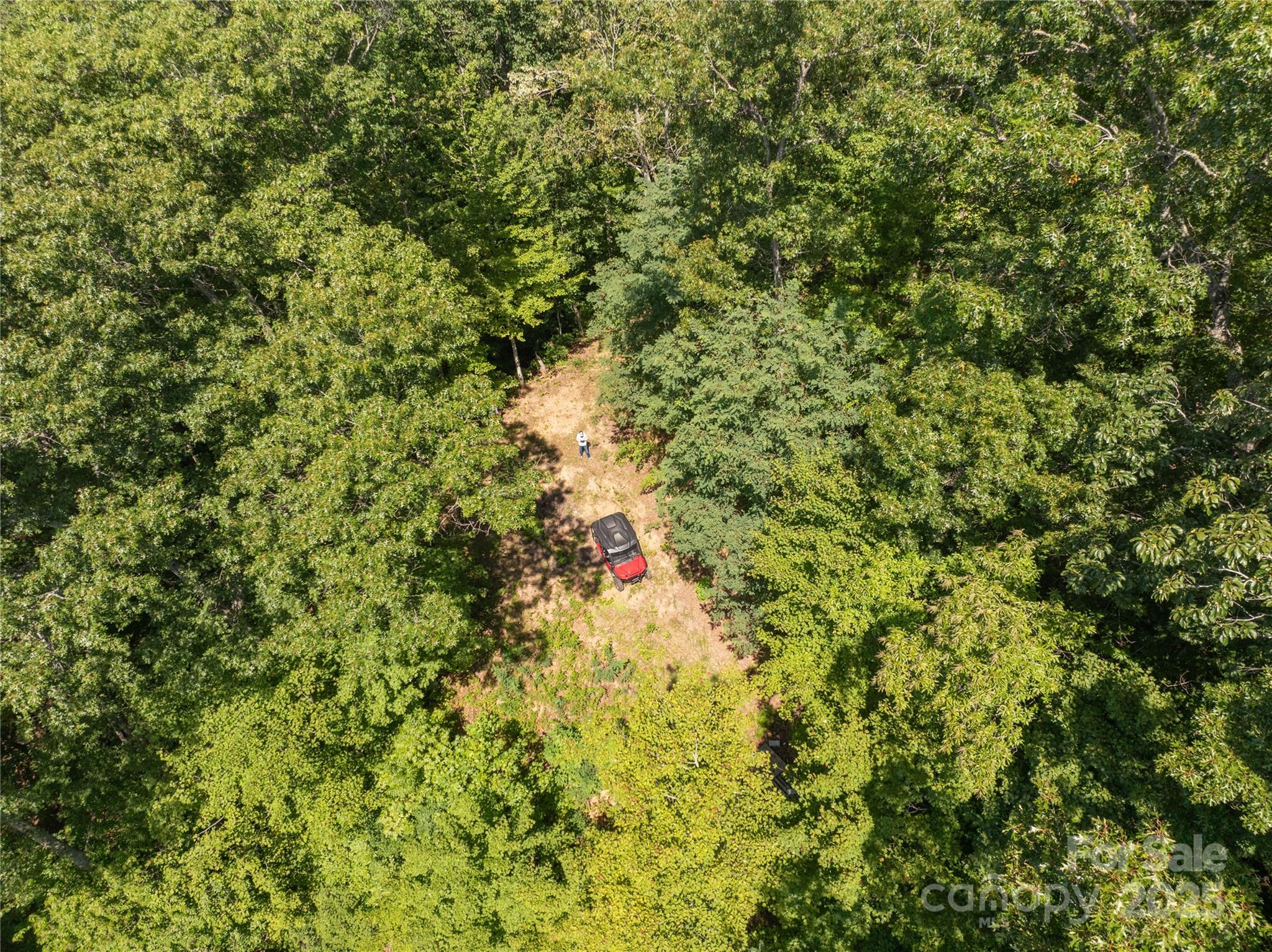 9999 Cindy Cove Trail Robbinsville NC 28771