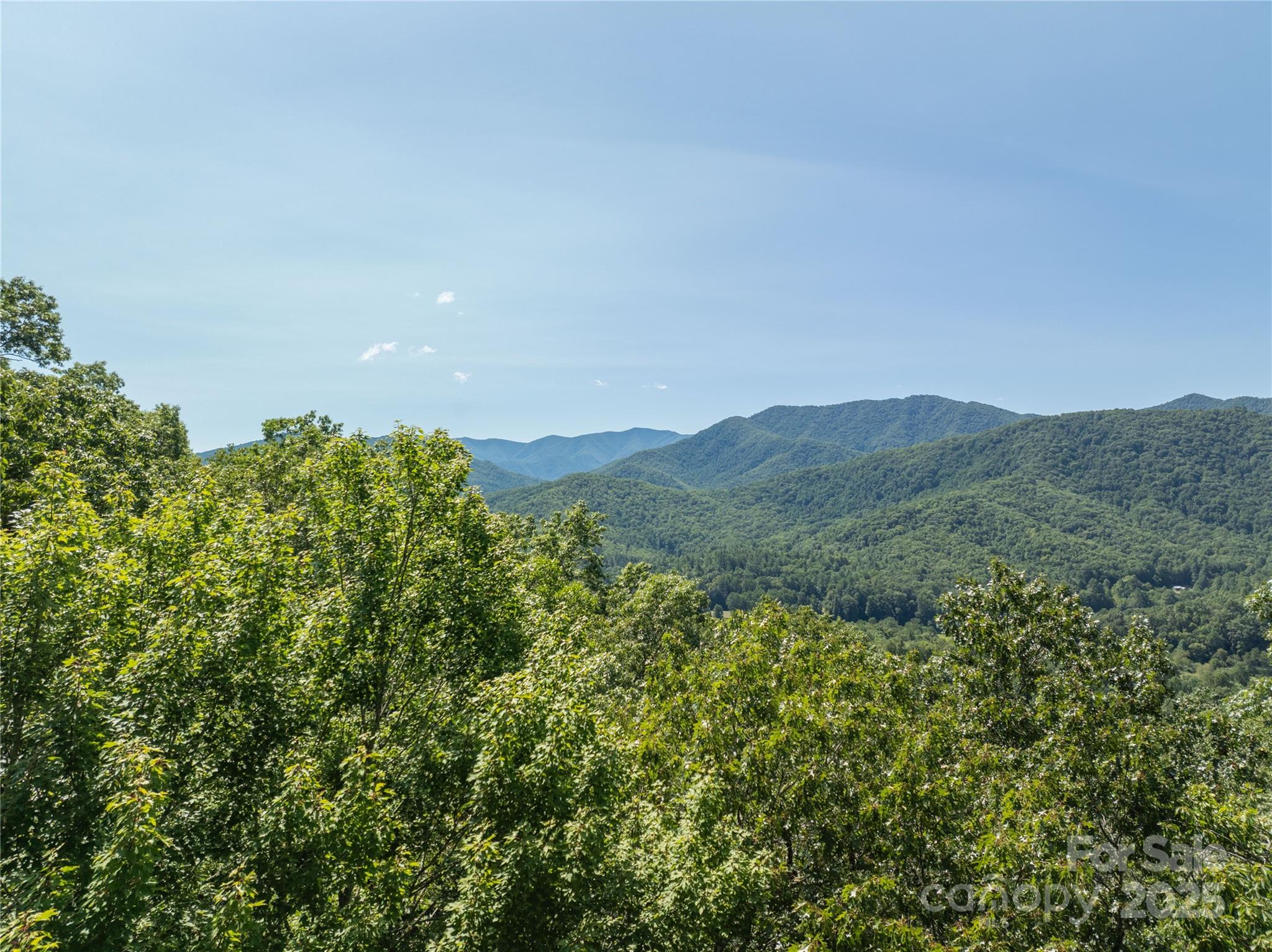 9999 Cindy Cove Trail Robbinsville NC 28771