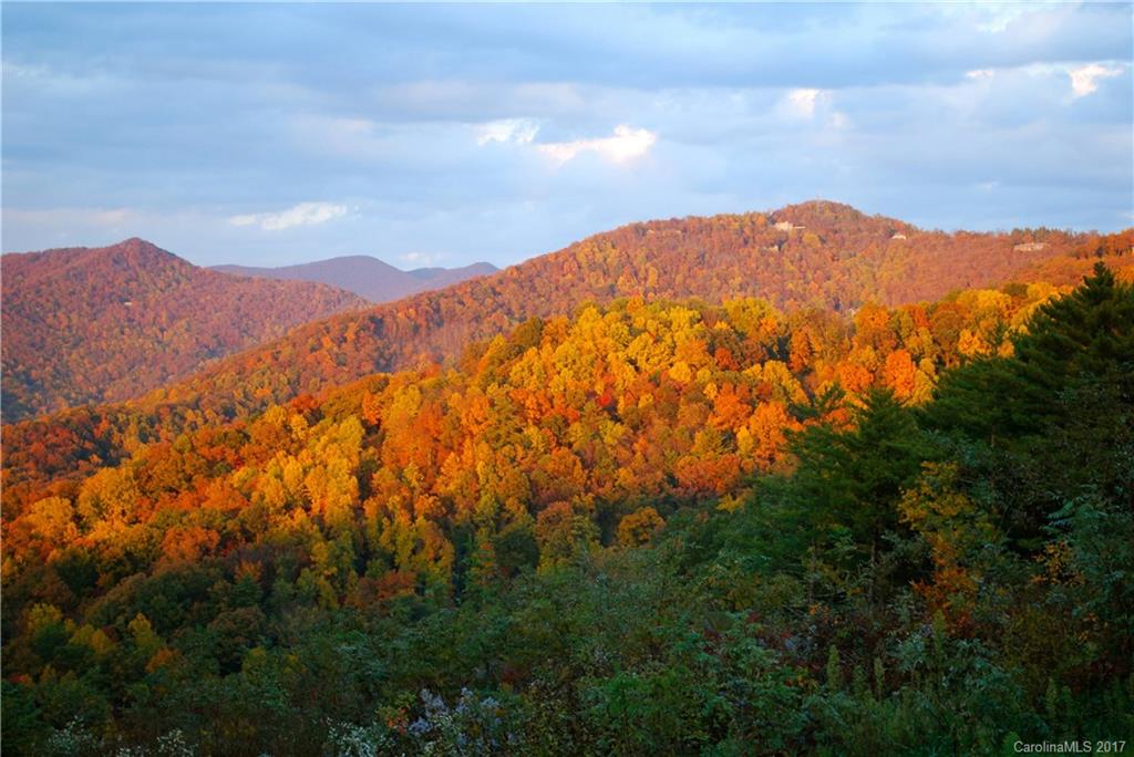 40 Bartrams Walk Drive Asheville NC 28804