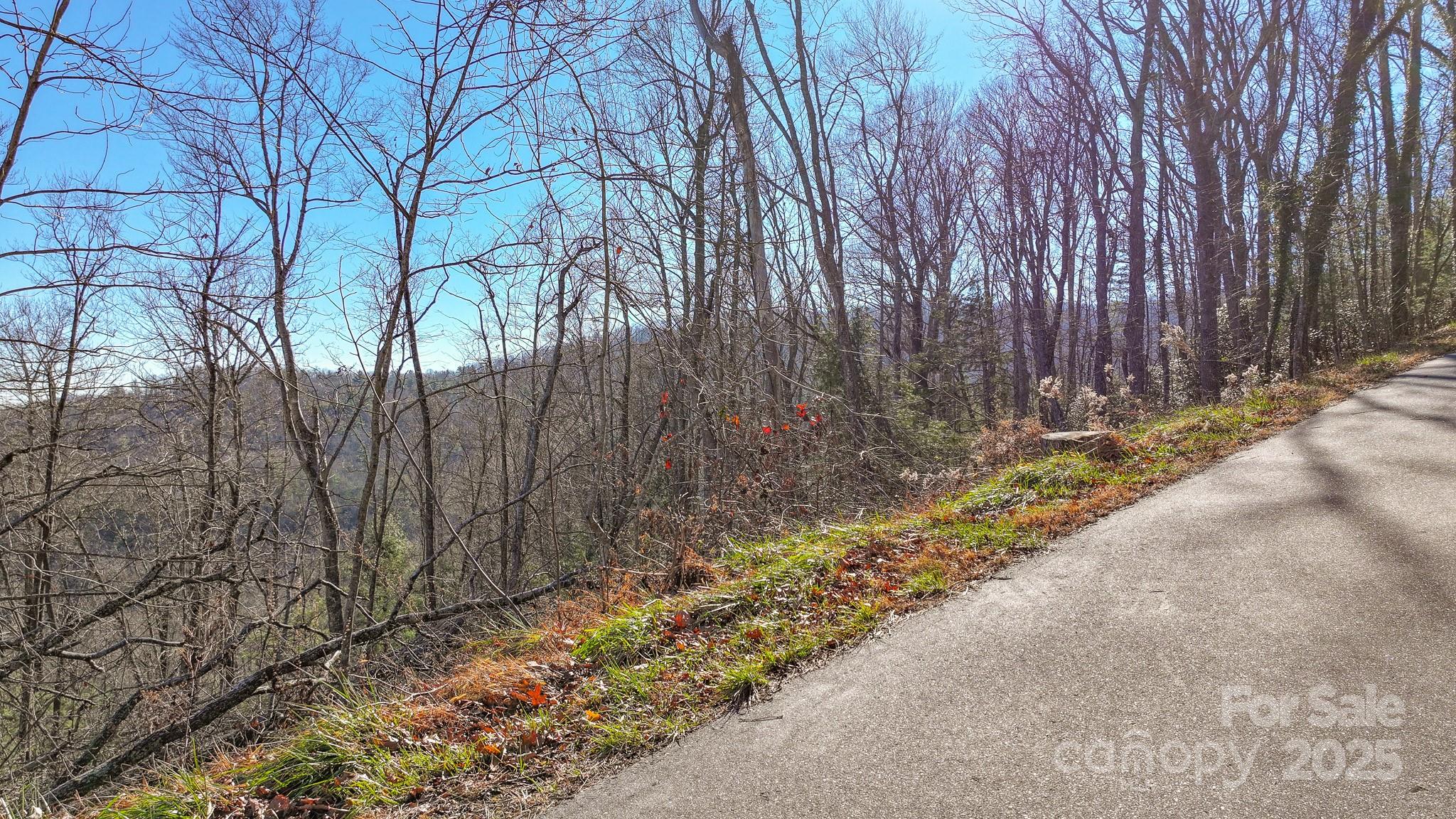 Tbd Mchone Road Spruce Pine NC 28777