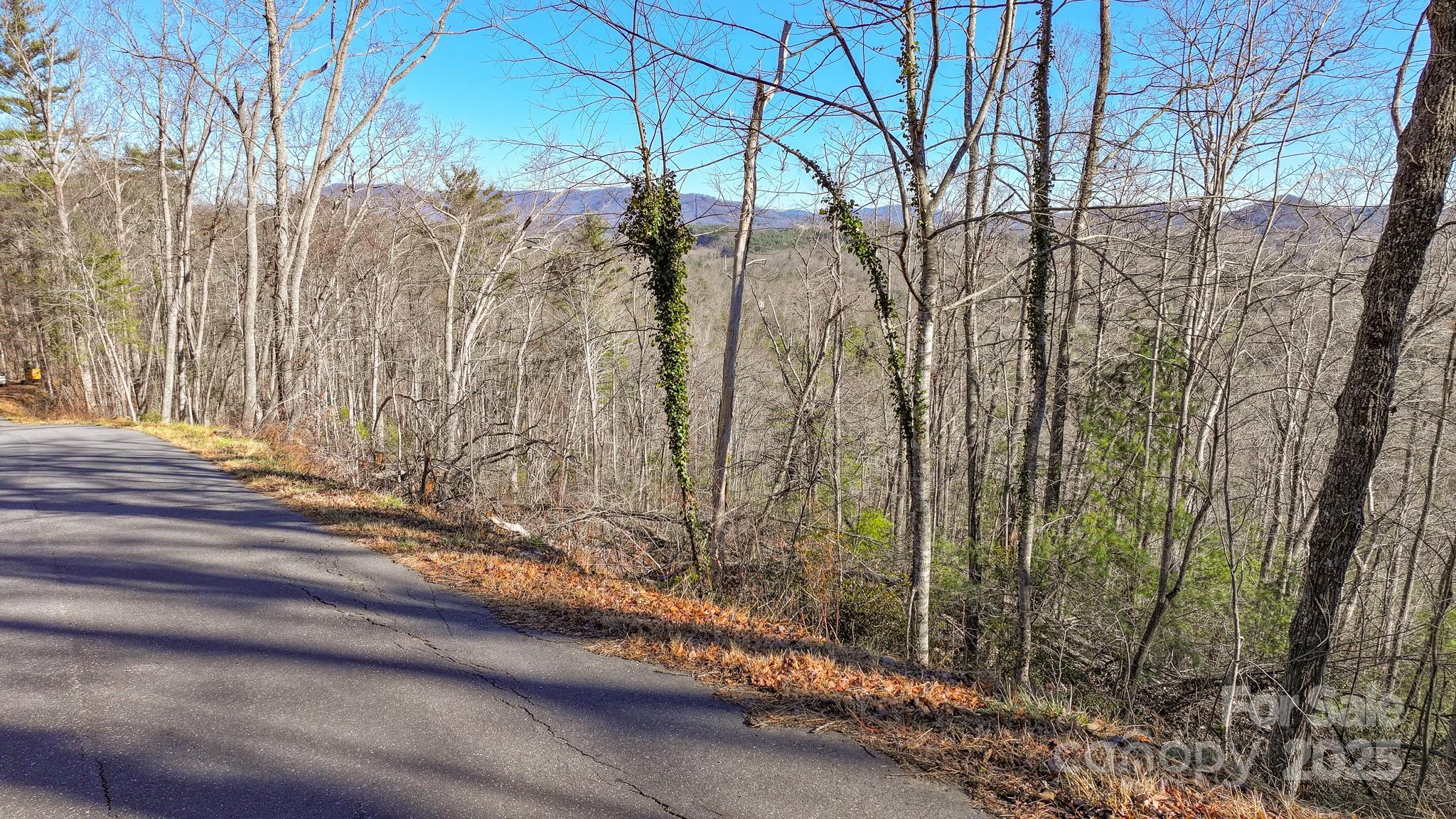 Tbd Mchone Road Spruce Pine NC 28777