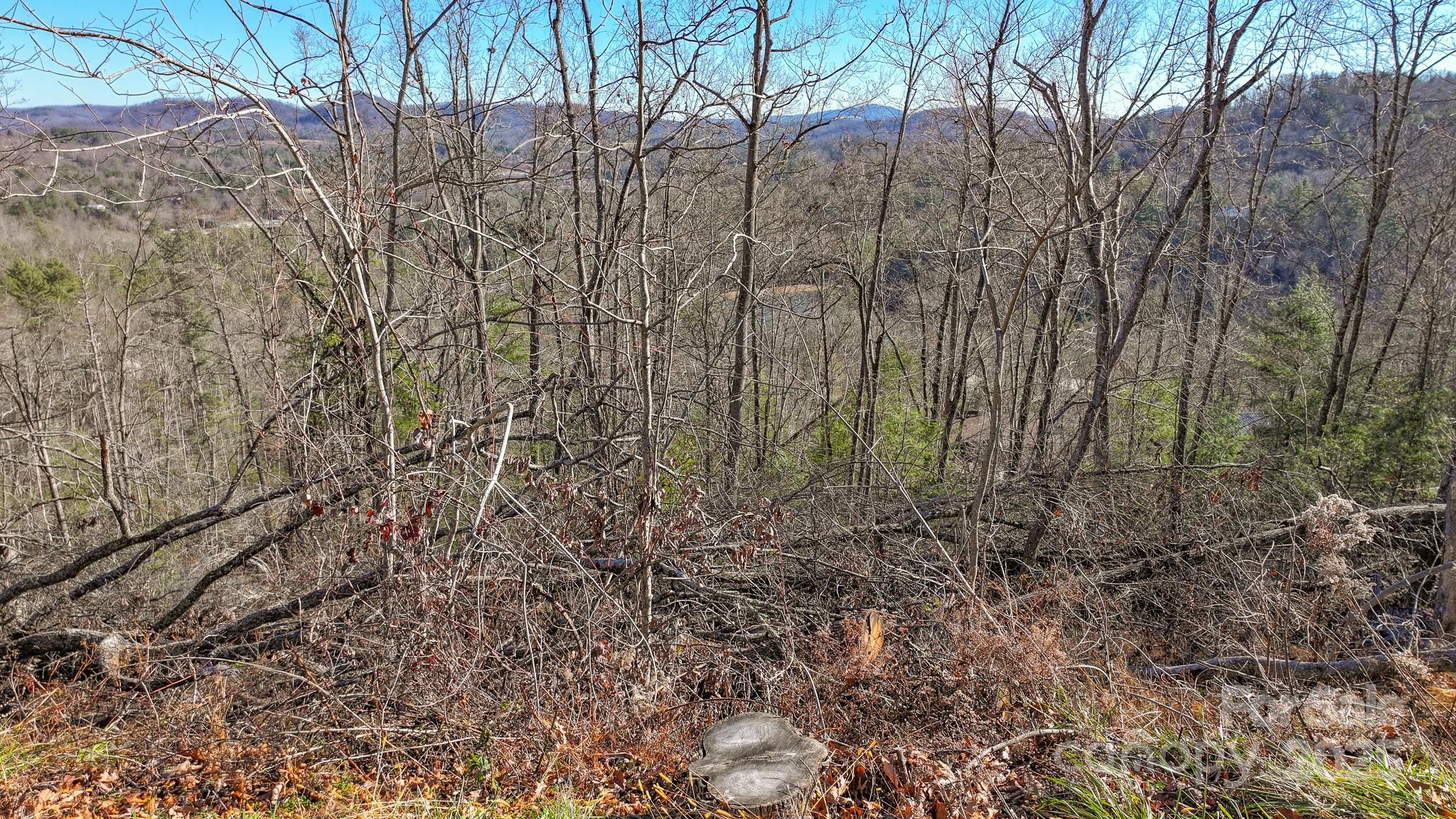 Tbd Mchone Road Spruce Pine NC 28777
