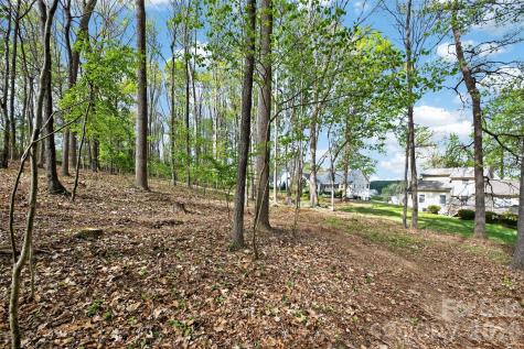 780 Big Indian Loop Mooresville NC 28117