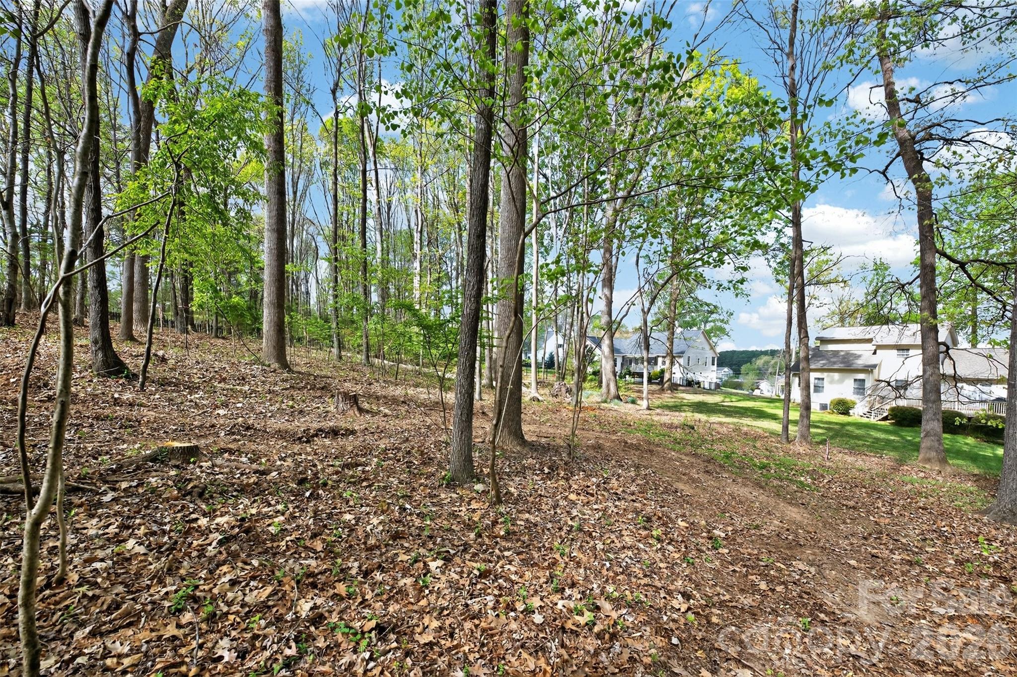780 Big Indian Loop Mooresville NC 28117