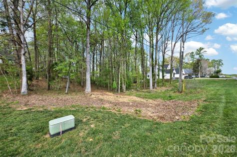 780 Big Indian Loop Mooresville NC 28117