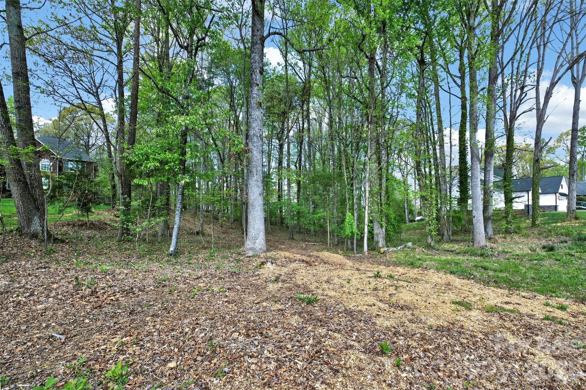 780 Big Indian Loop Mooresville NC 28117