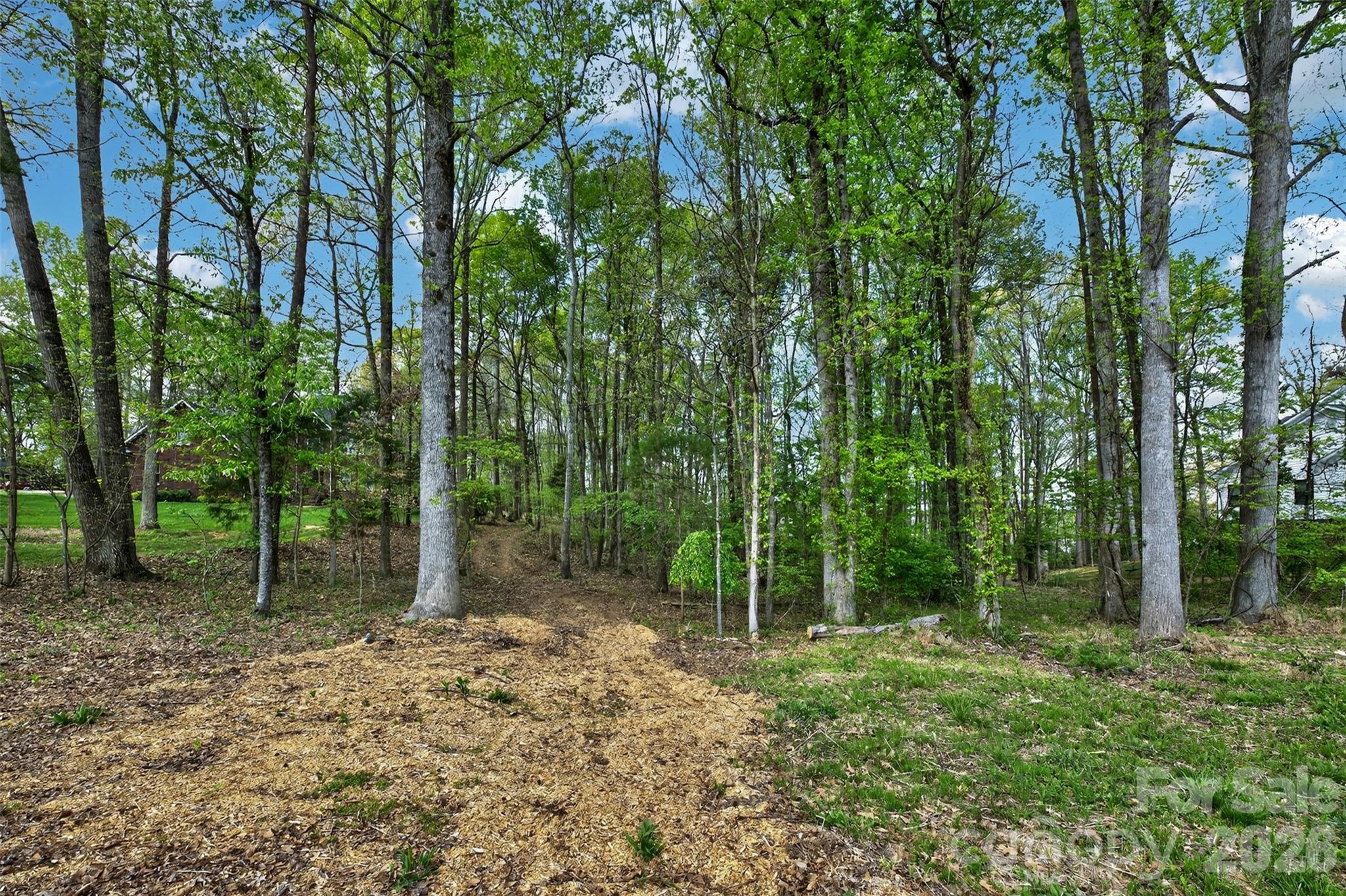 780 Big Indian Loop Mooresville NC 28117