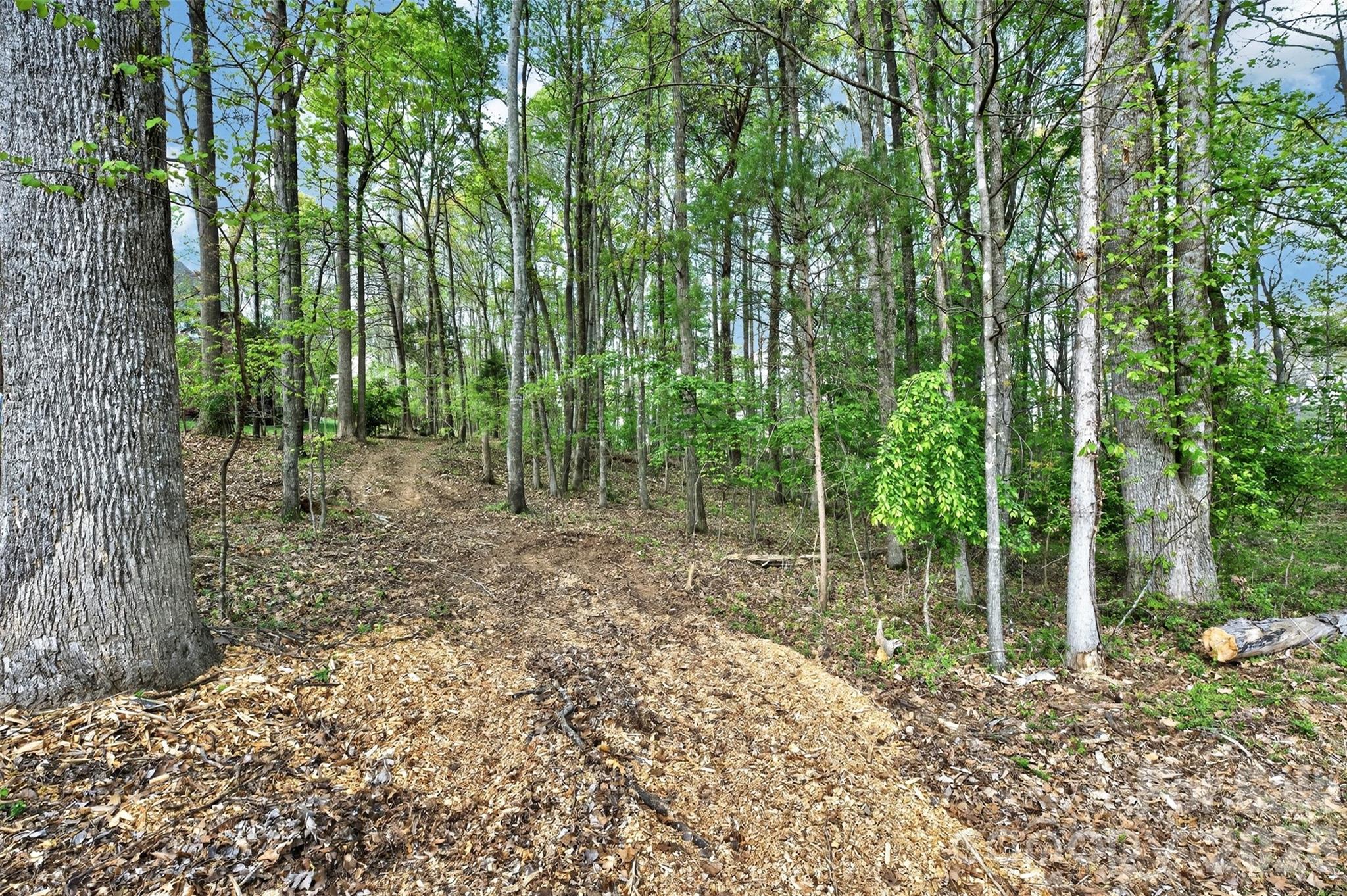780 Big Indian Loop Mooresville NC 28117