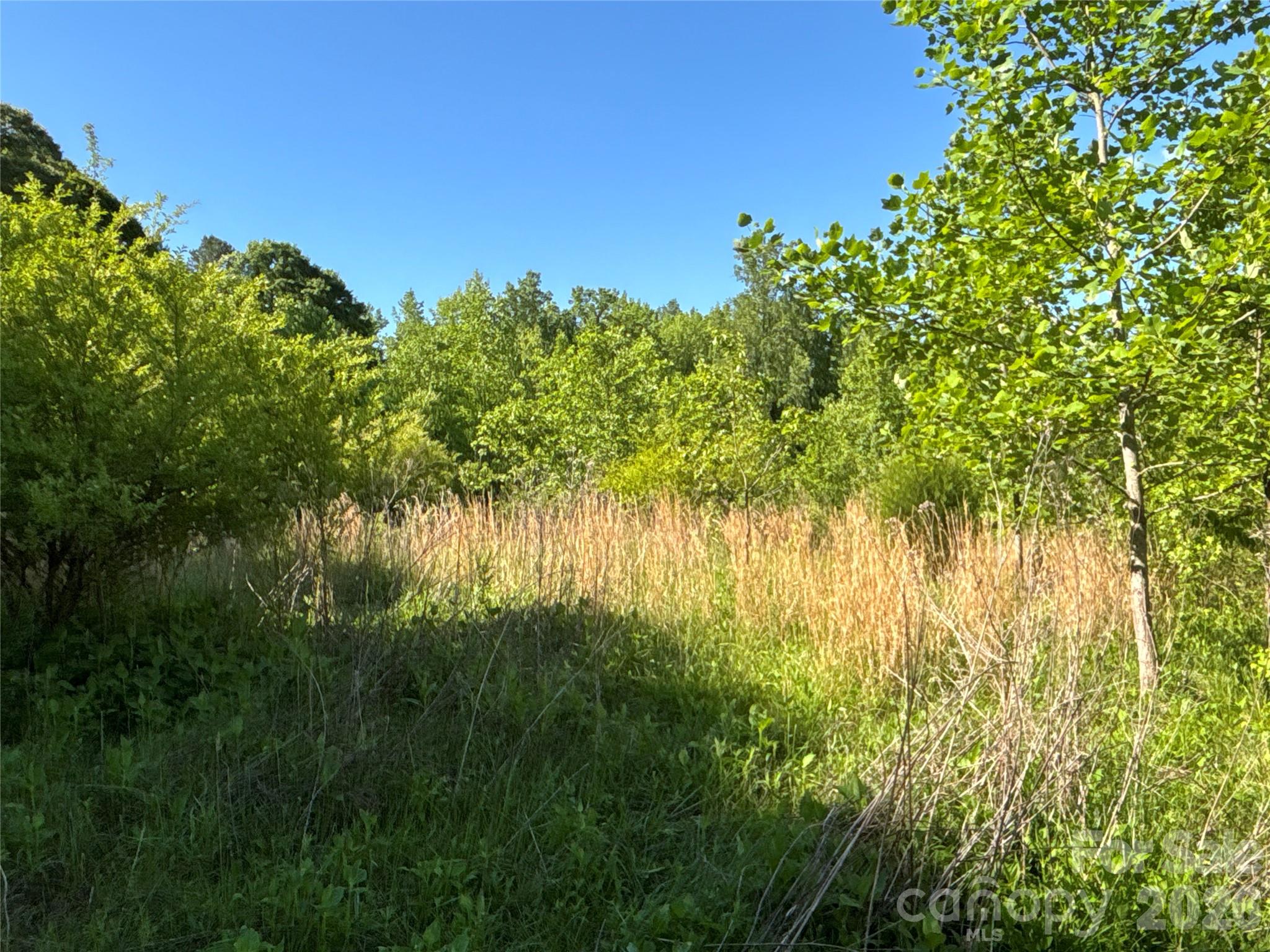 670 Talley Street Troutman NC 28166