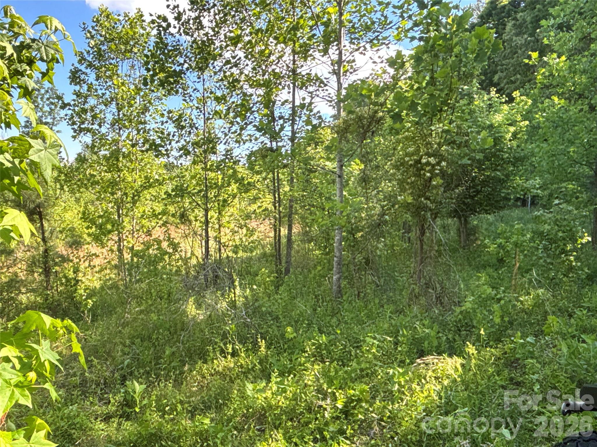 670 Talley Street Troutman NC 28166