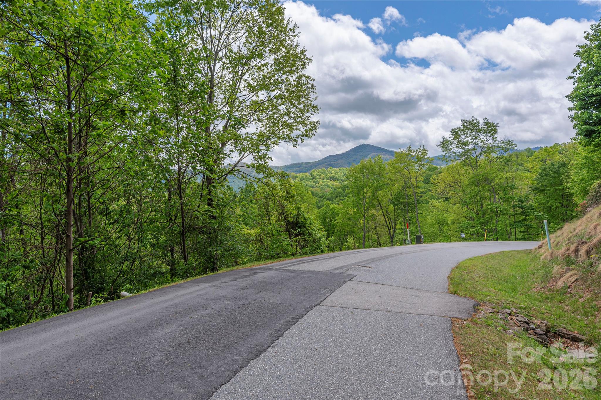 Lot 4 Mountain Watch Drive Waynesville NC 28785