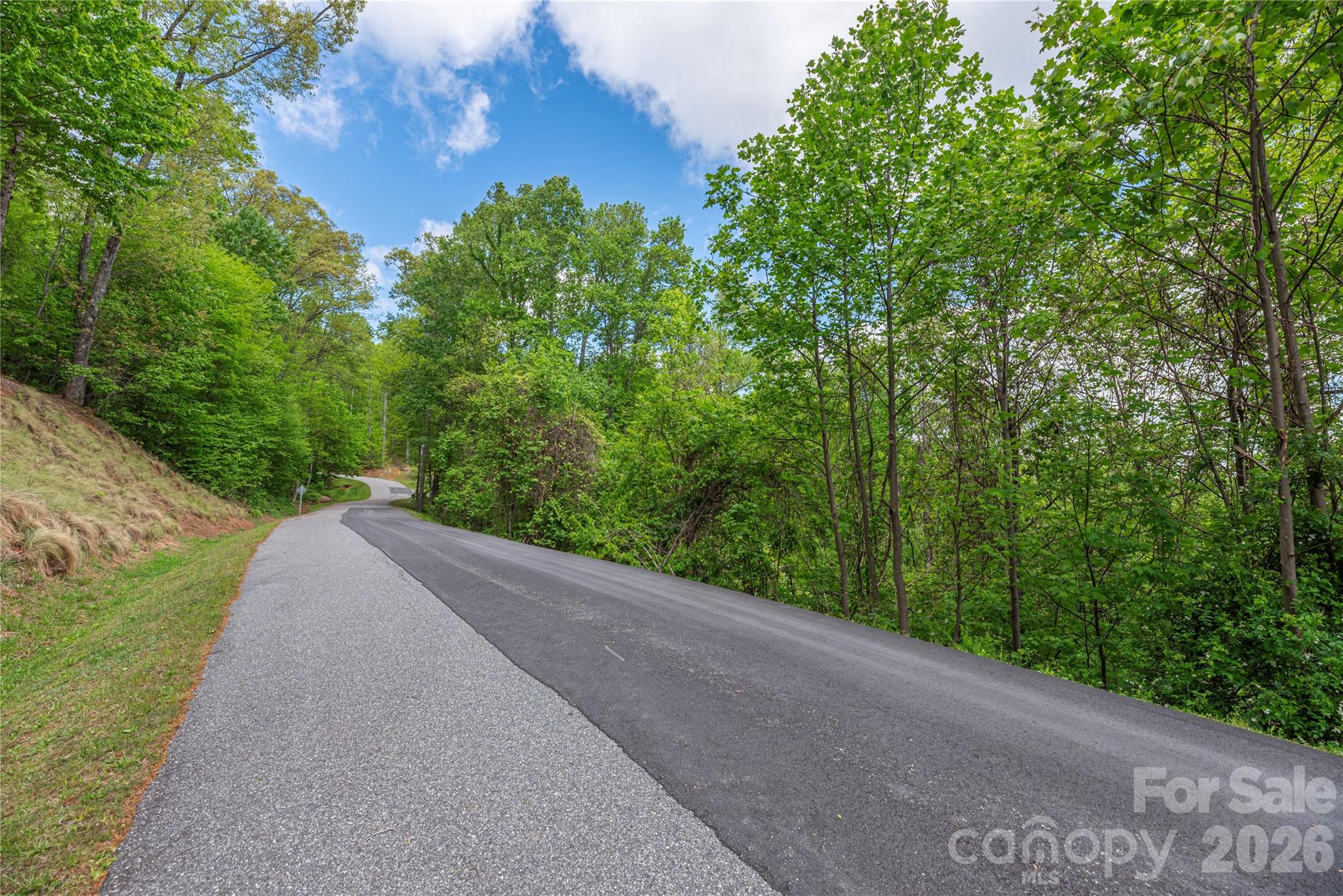 Lot 4 Mountain Watch Drive Waynesville NC 28785