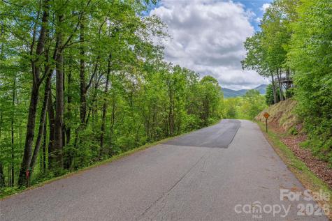 Lot 4 Mountain Watch Drive Waynesville NC 28785