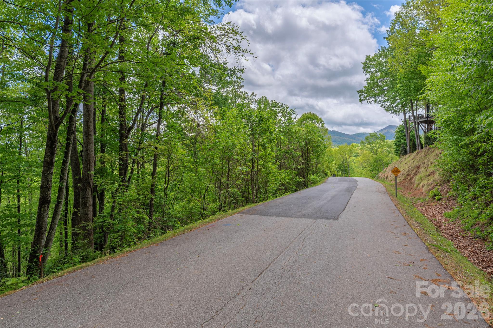 Lot 4 Mountain Watch Drive Waynesville NC 28785