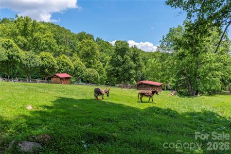 Lot 4 Mountain Watch Drive Waynesville NC 28785