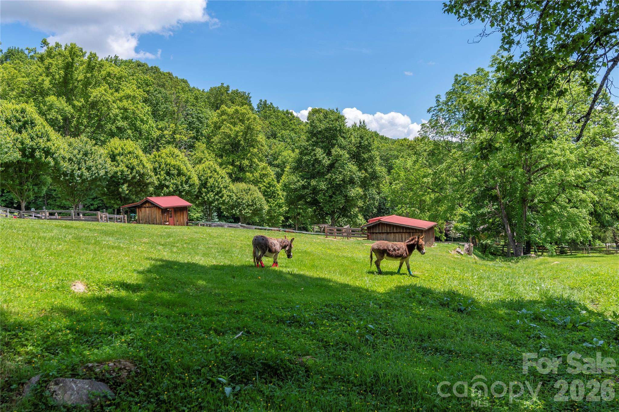 Lot 4 Mountain Watch Drive Waynesville NC 28785