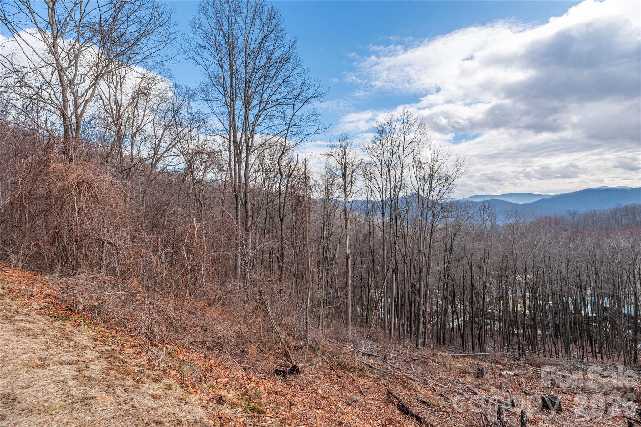 Lot 4 Mountain Watch Drive Waynesville NC 28785