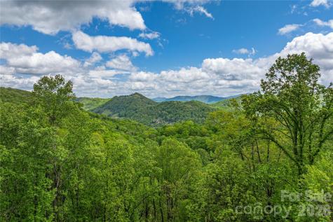 Lot 4 Mountain Watch Drive Waynesville NC 28785