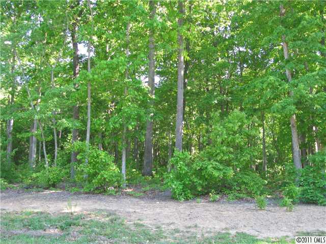 19028 Serenity Point Lane Cornelius NC 28031