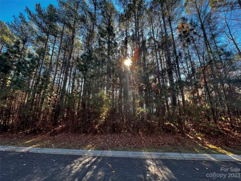 129 Sleepy Cove Trail Mooresville NC 28117