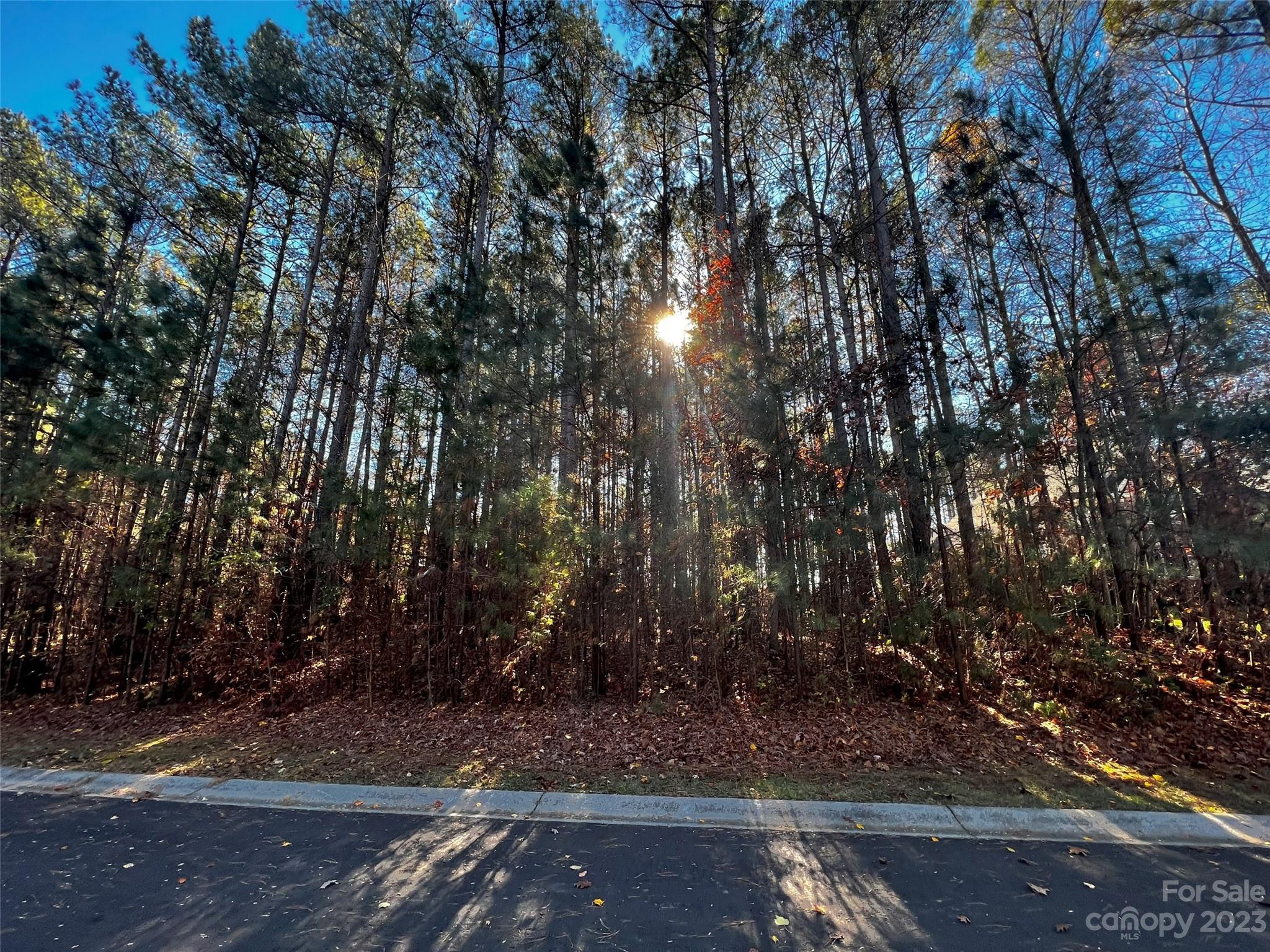 129 Sleepy Cove Trail Mooresville NC 28117