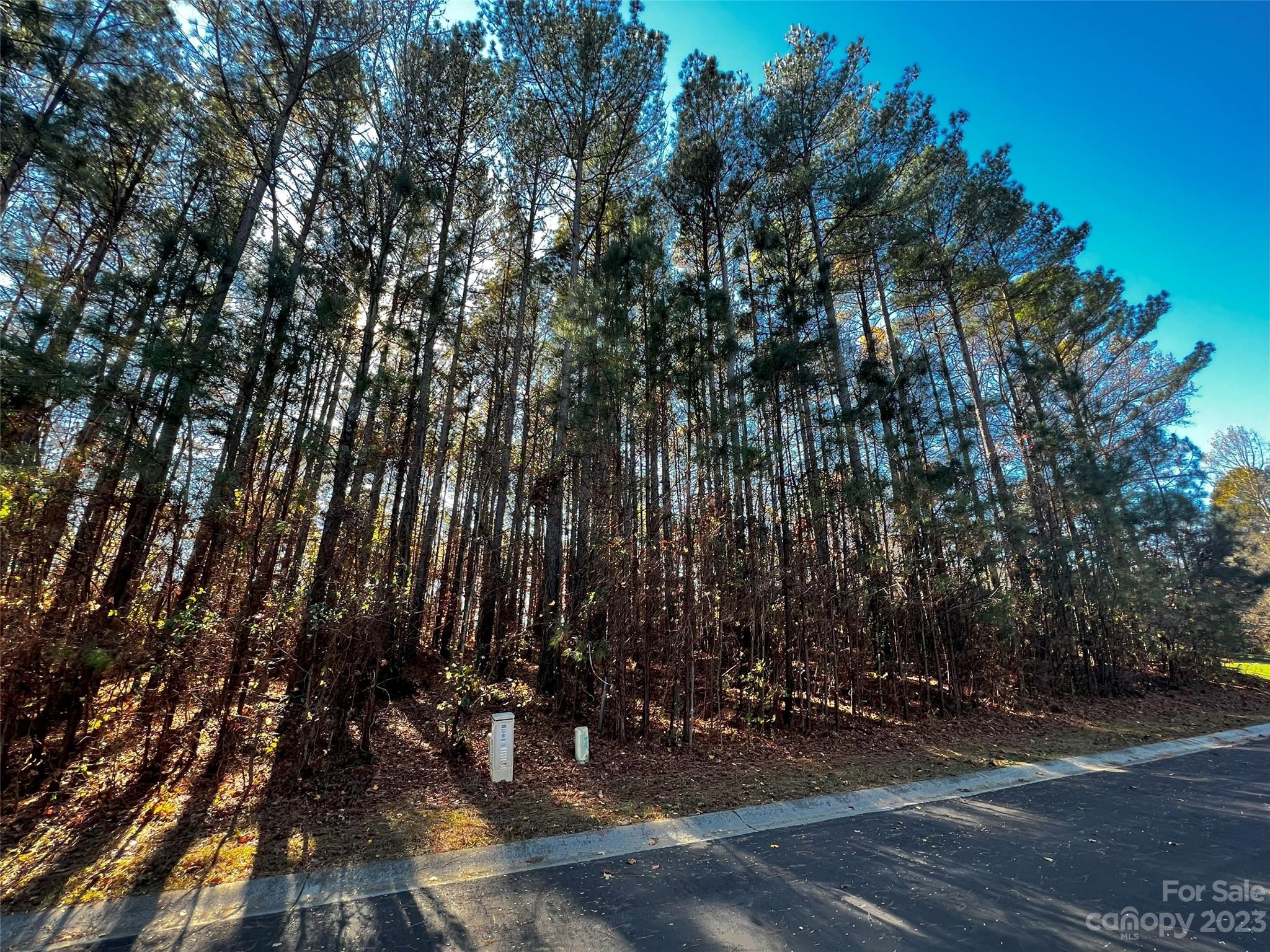 129 Sleepy Cove Trail Mooresville NC 28117