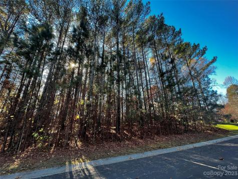 129 Sleepy Cove Trail Mooresville NC 28117