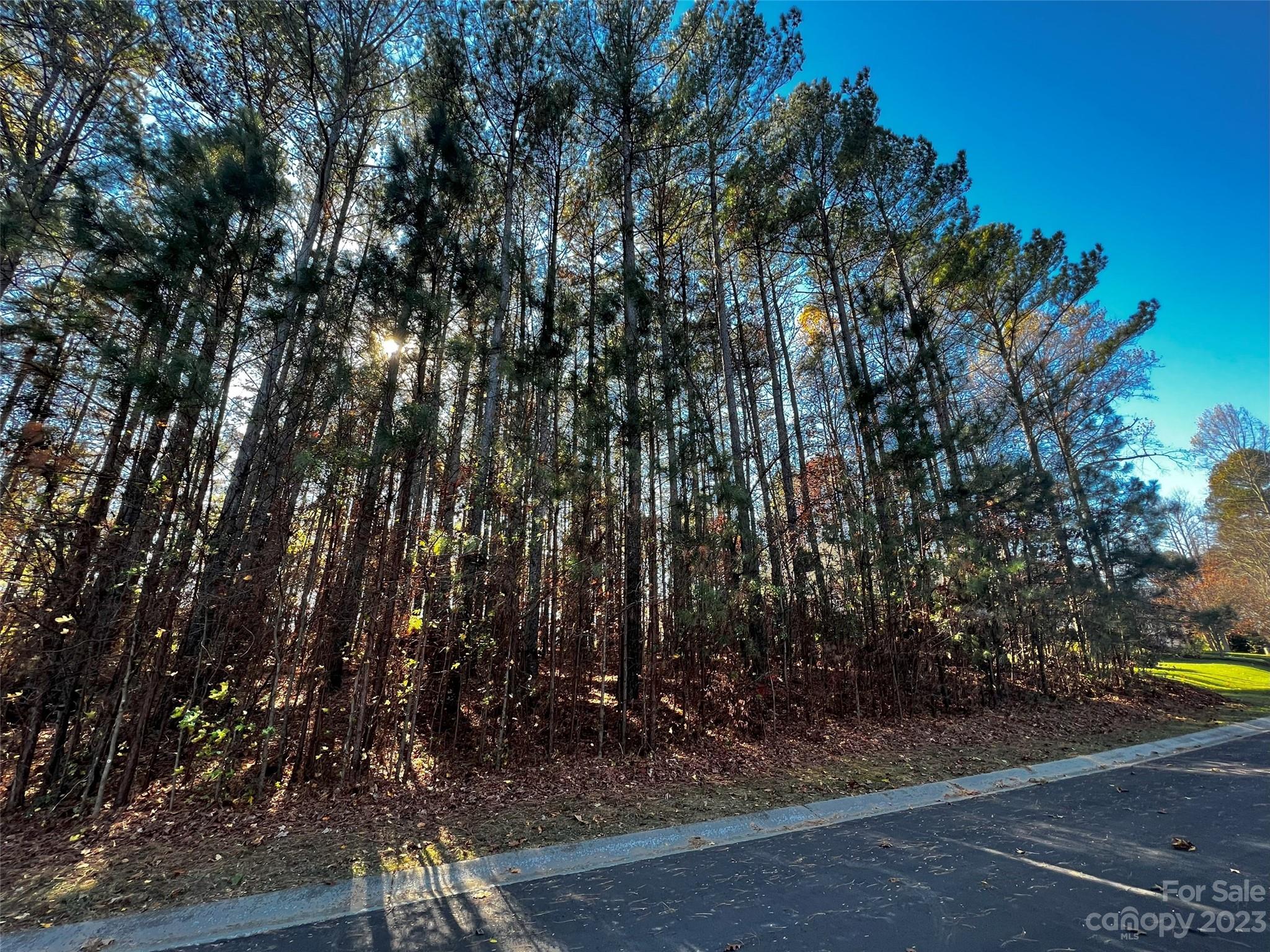129 Sleepy Cove Trail Mooresville NC 28117