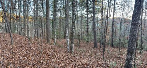 0 Sky Ridge Drive Bryson City NC 28713