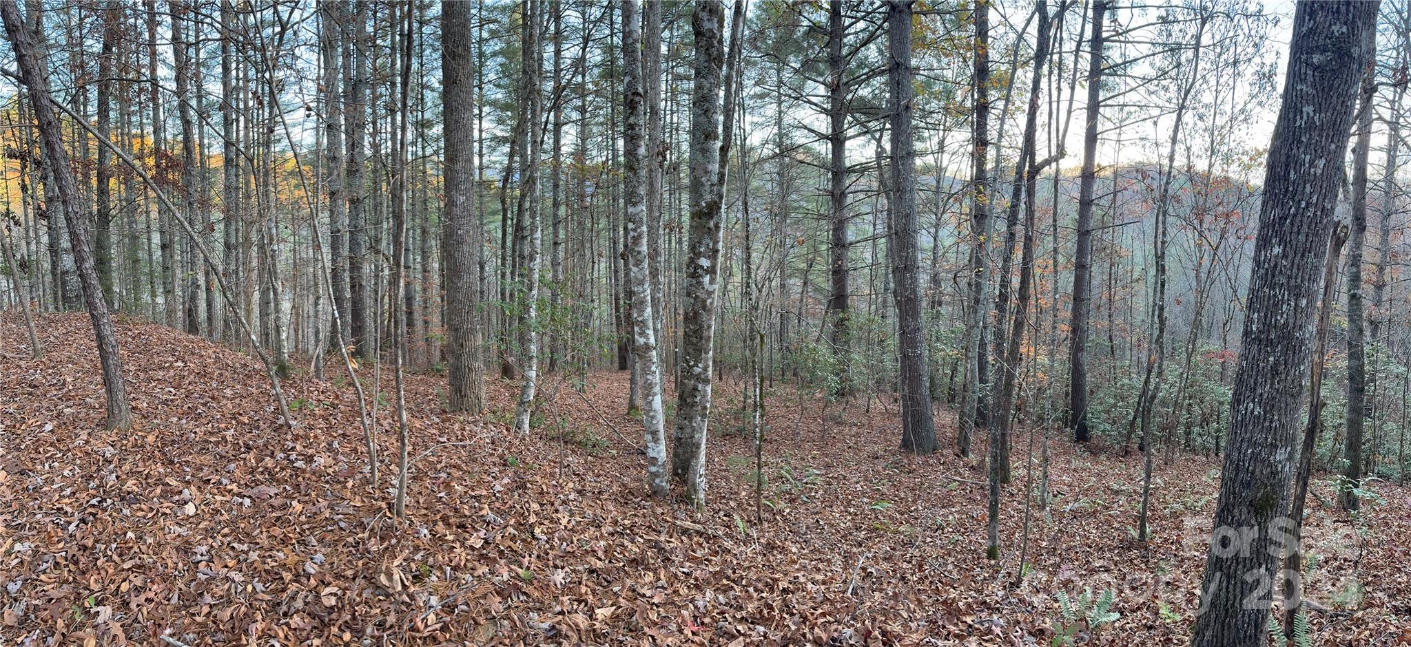 0 Sky Ridge Drive Bryson City NC 28713