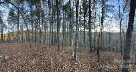 0 Sky Ridge Drive Bryson City NC 28713