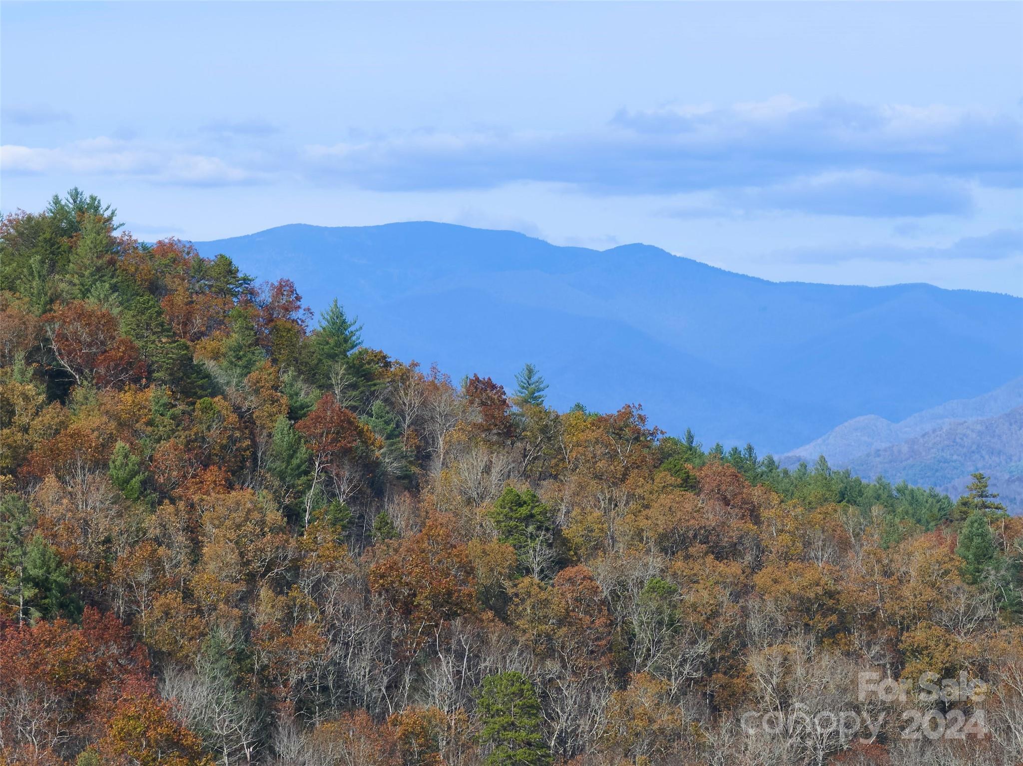 0 Sky Ridge Drive Bryson City NC 28713