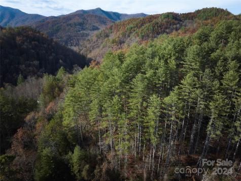 0 Sky Ridge Drive Bryson City NC 28713