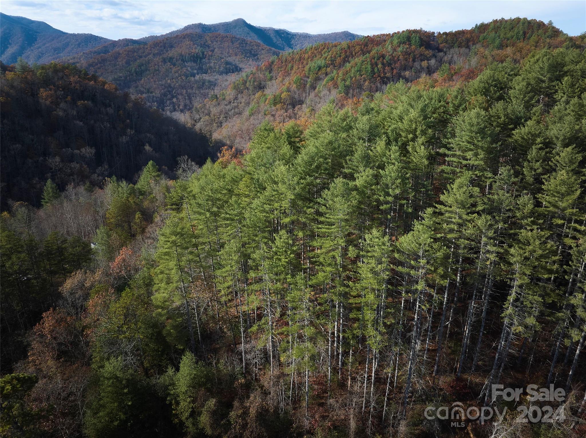 0 Sky Ridge Drive Bryson City NC 28713
