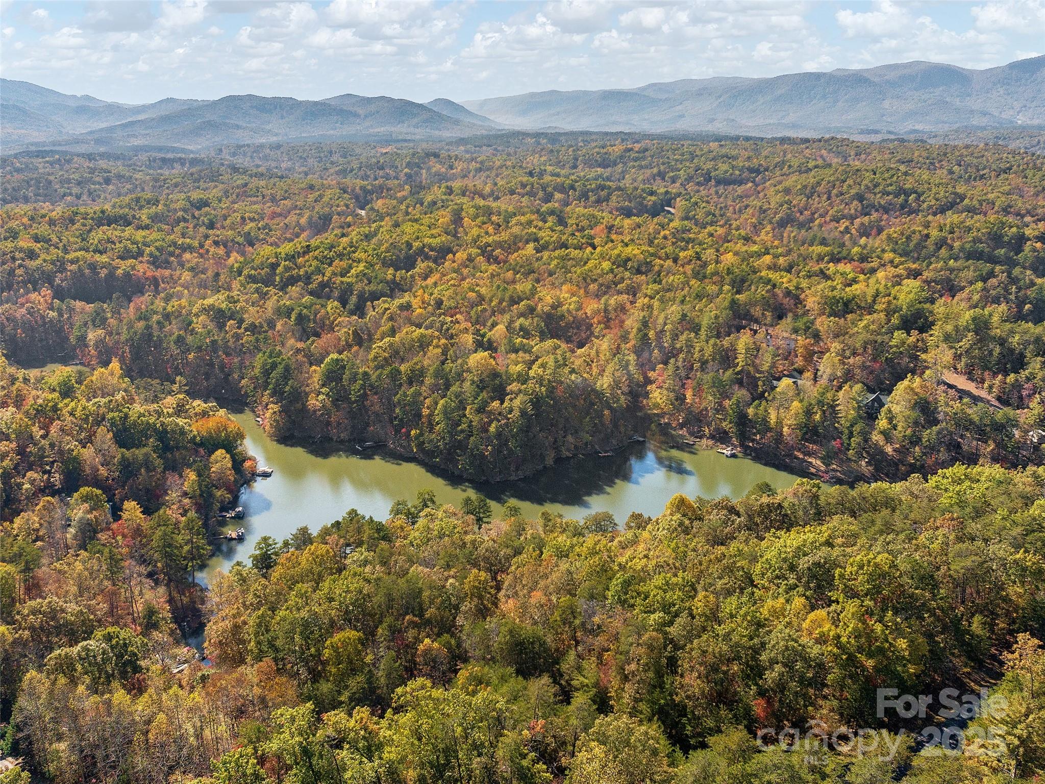 000 South Cove Road Mill Spring NC 28756