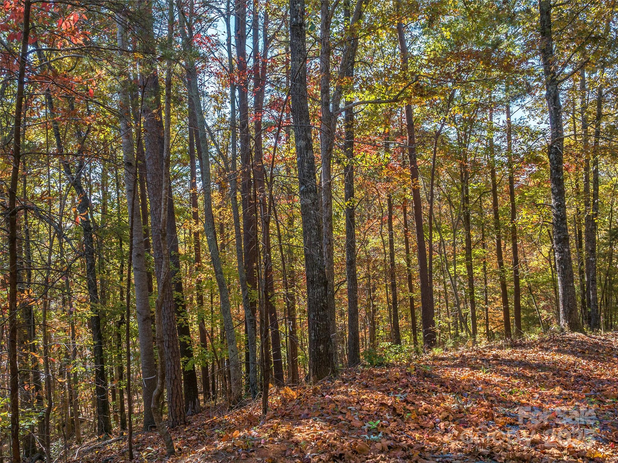 000 South Cove Road Mill Spring NC 28756