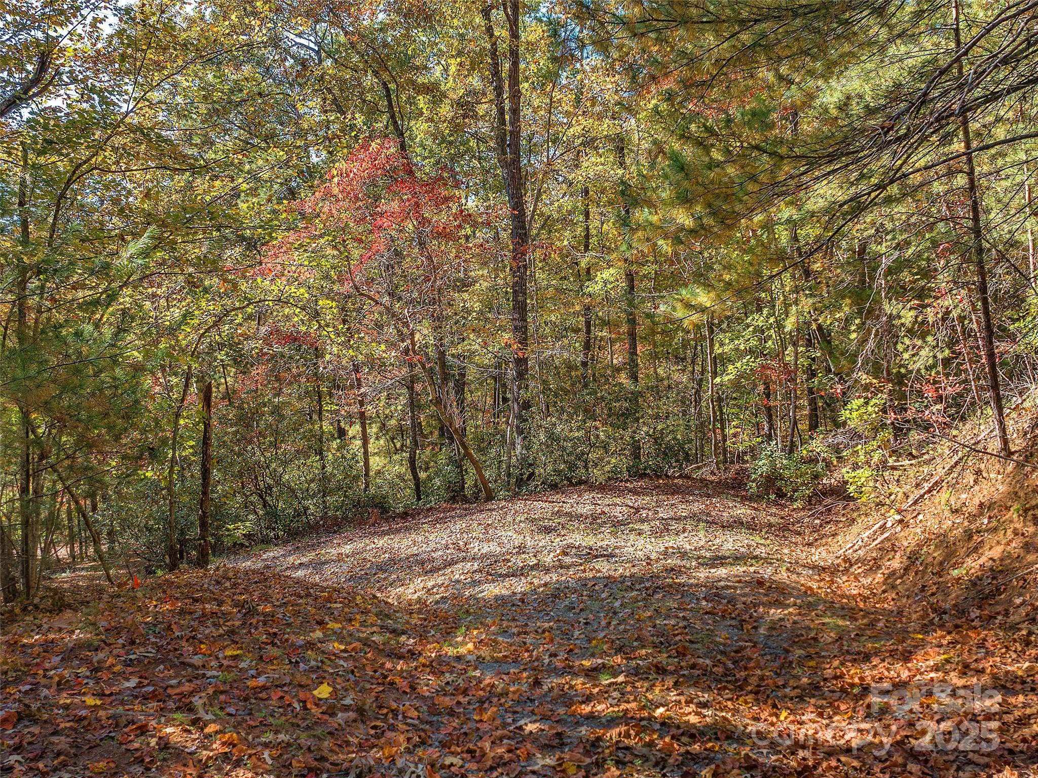 000 South Cove Road Mill Spring NC 28756