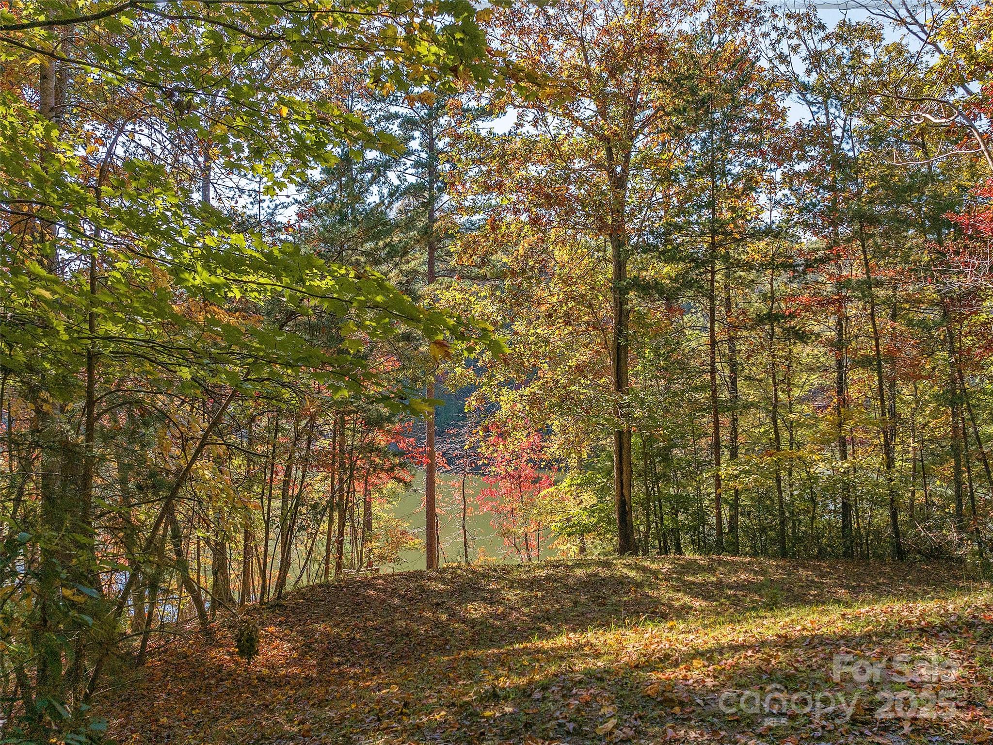 000 South Cove Road Mill Spring NC 28756