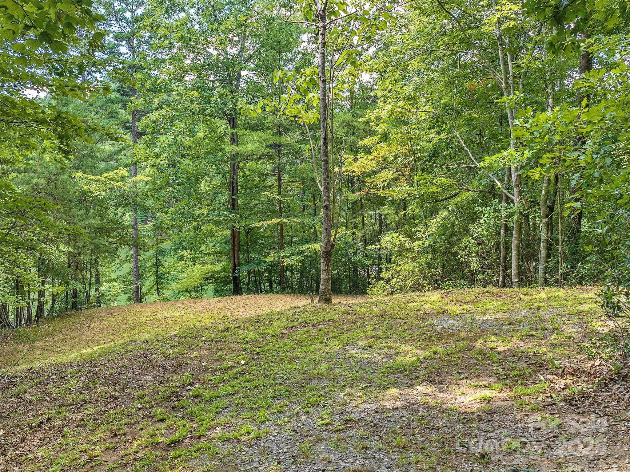 000 South Cove Road Mill Spring NC 28756